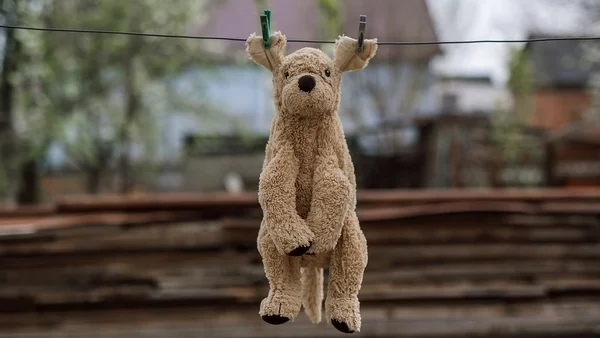 How often should we be cleaning toys?