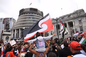 Treaty Principles Bill: Oral submissions to select committee