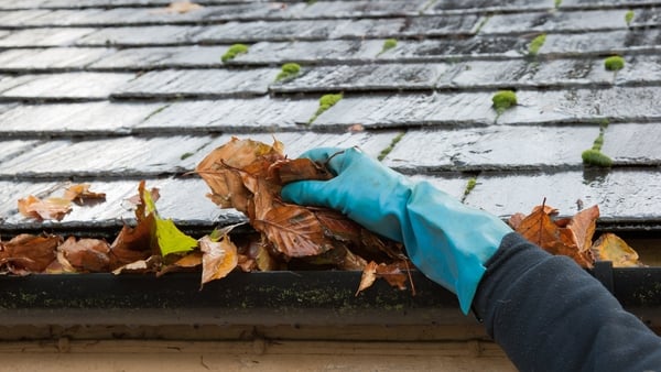 Tips for cleaning gutters and windows after a storm
