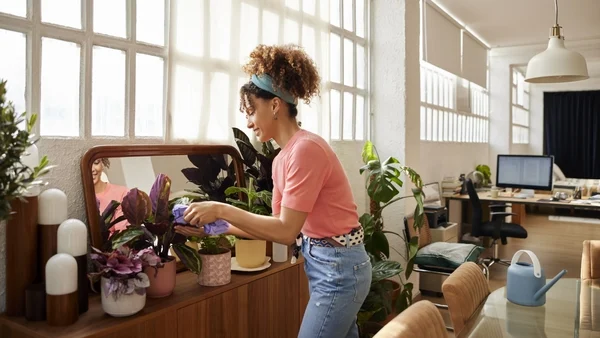 How do I know if I'm overwatering my houseplant?