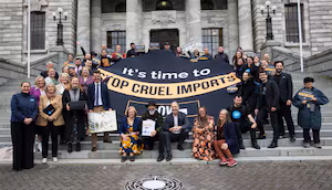 Imported animal products should meet NZ welfare rules - Green bill
