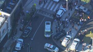 Australian machete ban brought forward following wild brawl