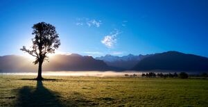 Above average temps expected during winter - NIWA