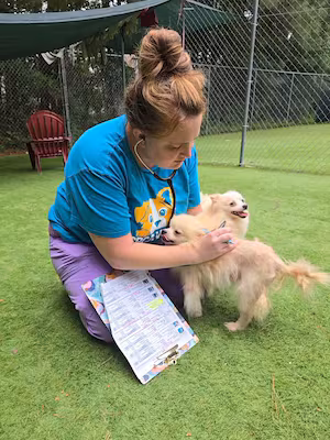 Over 100 dogs removed from filthy conditions in North Carolina home